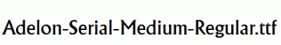 Adelon-Serial-Medium-Regular.ttf