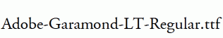 Adobe-Garamond-LT-Regular.ttf
