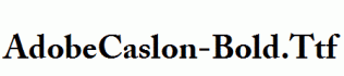 AdobeCaslon-Bold.ttf