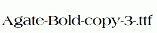 Agate-Bold-copy-3-.ttf