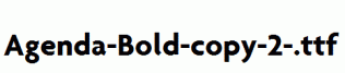 Agenda-Bold-copy-2-.ttf