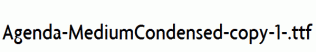 Agenda-MediumCondensed-copy-1-.ttf