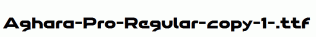 Aghara-Pro-Regular-copy-1-.ttf