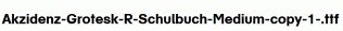 Akzidenz-Grotesk-R-Schulbuch-Medium-copy-1-.ttf