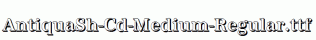 AntiquaSh-Cd-Medium-Regular.ttf