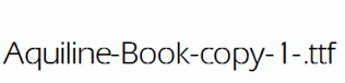 Aquiline-Book-copy-1-.ttf