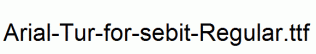 Arial-Tur-for-sebit-Regular.ttf
