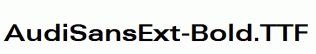 AudiSansExt-Bold.ttf