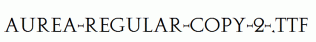 Aurea-Regular-copy-2-.ttf