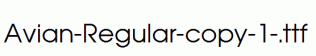 Avian-Regular-copy-1-.ttf
