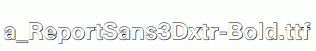 a_ReportSans3Dxtr-Bold.ttf