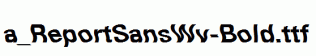 a_ReportSansWv-Bold.ttf