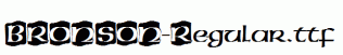 BRONSON-Regular.ttf