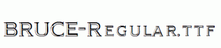 BRUCE-Regular.ttf