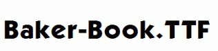 Baker-Book.ttf