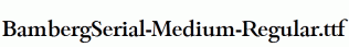 BambergSerial-Medium-Regular.ttf