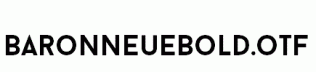 BaronNeueBold.otf
