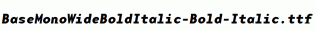 BaseMonoWideBoldItalic-Bold-Italic.ttf