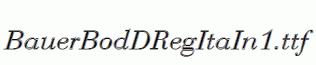 BauerBodDRegItaIn1.ttf