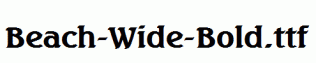 Beach-Wide-Bold.ttf
