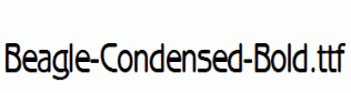 Beagle-Condensed-Bold.ttf