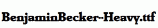 BenjaminBecker-Heavy.ttf