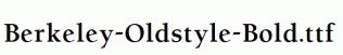 Berkeley-Oldstyle-Bold.ttf