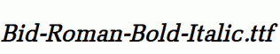 Bid-Roman-Bold-Italic.ttf