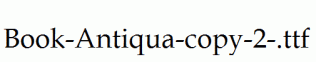 Book-Antiqua-copy-2-.ttf