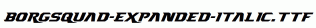 Borgsquad-Expanded-Italic.ttf