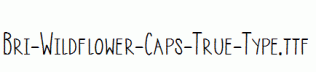 Bri-Wildflower-Caps-True-Type.ttf
