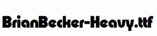 BrianBecker-Heavy.ttf