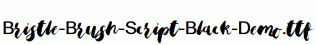 Bristle-Brush-Script-Black-Demo.ttf