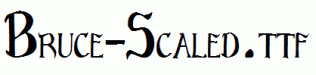 Bruce-Scaled.ttf