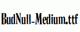 BudNull-Medium.ttf
