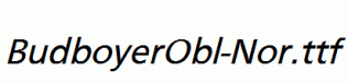 BudboyerObl-Nor.ttf