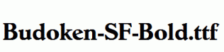 Budoken-SF-Bold.ttf