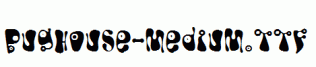 Bughouse-Medium.ttf
