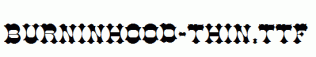Burninhood-Thin.ttf