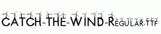 CATCH-THE-WIND-Regular.ttf