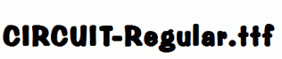CIRCUIT-Regular.ttf