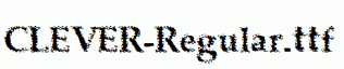 CLEVER-Regular.ttf