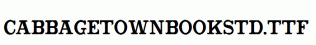 CabbagetownBookStd.ttf