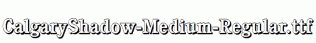 CalgaryShadow-Medium-Regular.ttf