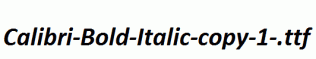 Calibri-Bold-Italic-copy-1-.ttf