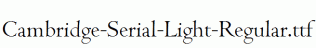 Cambridge-Serial-Light-Regular.ttf