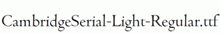 CambridgeSerial-Light-Regular.ttf