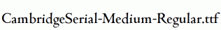 CambridgeSerial-Medium-Regular.ttf