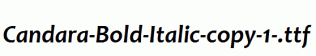 Candara-Bold-Italic-copy-1-.ttf
