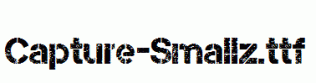 Capture-Smallz.ttf